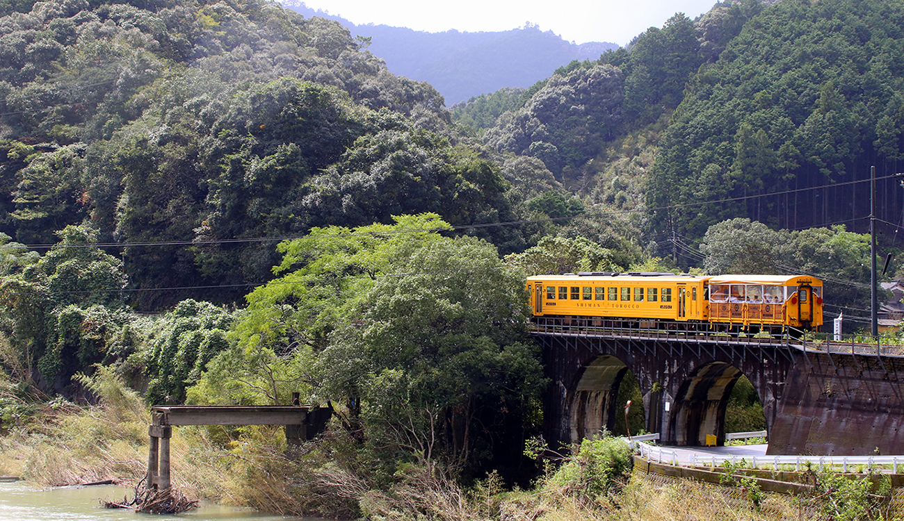 沖縄　三線　練習用江戸川の旅がらすキョエちゃん専用 沖縄 三線 練習用江戸川の旅がらすキョエちゃん専用 - 和楽器